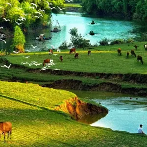Explore 11 Days Glimpse of Vietnam for 11 days with Indochina Today Travel and discover unforgettable experiences - Photo 8
