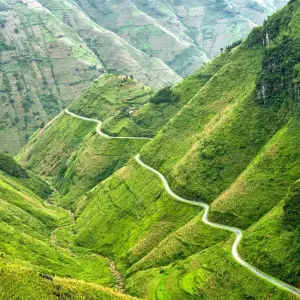 Explore 4-Days Ha Giang Loops Motobike for 4 days with Indochina Today Travel and discover unforgettable experiences - Photo 9