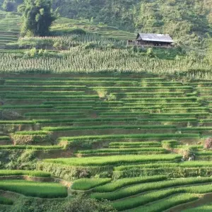 Explore 5 Days Sapa Ethnic People and Fasipan for 5 days with Indochina Today Travel and discover unforgettable experiences - Photo 4