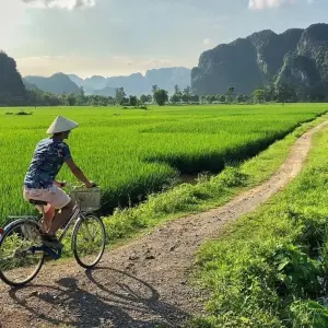 Explore Ninh Binh Day Trip - Cycling - Cave - Buffet Lunch - Boat - Transfer for 1 days with Indochina Today Travel and discover unforgettable experiences - Photo 3
