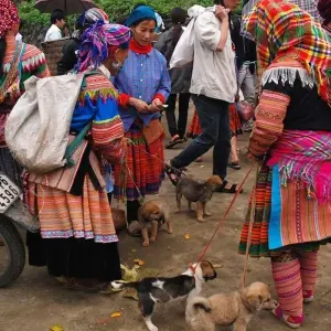 Explore 15 Days Vietnam Trekking, Culture, Village, Ethnic, Nature, Cuisine for 15 days with Indochina Today Travel and discover unforgettable experiences - Photo 4