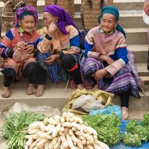 Explore 15 Days Vietnam Trekking, Culture, Village, Ethnic, Nature, Cuisine for 15 days with Indochina Today Travel and discover unforgettable experiences - Photo 8