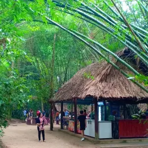 Explore Day Trip Cu Chi Tunnel + Mekong Delta for 1 days with Indochina Today Travel and discover unforgettable experiences - Photo 6