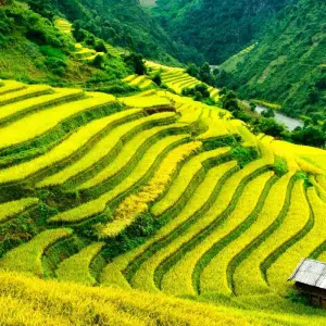 Explore Vietnam: Sapa and Beach Stay in Mui Ne/Phan Thiet (private with flight) 21 Days for 20 days with Indochina Travels and discover unforgettable experiences - Photo 3