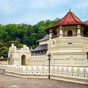 Explore Sri Lanka natural treasures and fascinating culture (including Peradeniya) for 13 days with Indochina Travels and discover unforgettable experiences - Photo 2