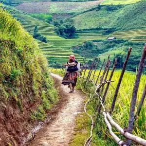 Explore Vietnam Highlights with Sapa and Beach Stay in Mui Ne/Phan Thiet 21 Days (incl. flight) (13 destinations) for 20 days with Indochina Travels and discover unforgettable experiences - Photo 9