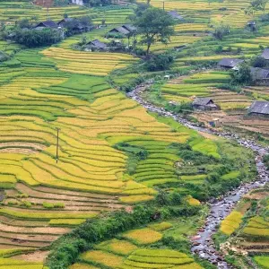 Explore Private Tour Highlights Vietnam with Sapa and Beach Vacation in Mui Ne/Phan Thiet 21 Days for 19 days with Indochina Travels and discover unforgettable experiences - Photo 8