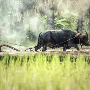 Explore Vietnam Highlights with Sapa and Beach Stay in Mui Ne/Phan Thiet 21 Days (incl. flight) (13 destinations) for 20 days with Indochina Travels and discover unforgettable experiences - Photo 10