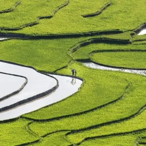 Explore Vietnam Highlights with Sapa and Beach Stay in Mui Ne/Phan Thiet 21 Days (incl. flight) (13 destinations) for 20 days with Indochina Travels and discover unforgettable experiences - Photo 11