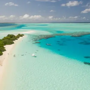 Explore Private Sri Lanka Highlights with Beach Vacation in Kalutara or the Maldives (incl. Flight) for 14 days with Indochina Travels and discover unforgettable experiences - Photo 3