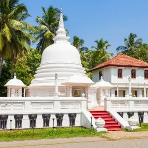 Explore Private Sri Lanka Highlights with Beach Vacation in Kalutara or the Maldives (incl. Flight) for 14 days with Indochina Travels and discover unforgettable experiences - Photo 5