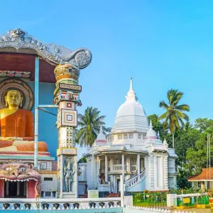 Explore Private Sri Lanka Highlights with Beach Vacation in Kalutara or the Maldives (incl. Flight) for 14 days with Indochina Travels and discover unforgettable experiences - Photo 6