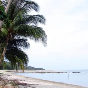 Explore Thailand: intensive tour (3 weeks) for 18 days with Indochina Travels and discover unforgettable experiences - Photo 5