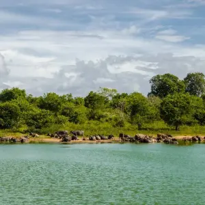 Explore Classic Sri Lanka Round Trip with Beach Vacation on the Southwest Coast or in the Maldives (from Negombo to Kalutara) for 13 days with Indochina Travels and discover unforgettable experiences - Photo 9