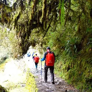 Explore 04 Day Classic Inca Trail to Machu Picchu - Small Group Service for 4 days with Inkayni Peru Tours and discover unforgettable experiences - Photo 5