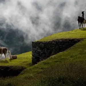 Explore 06 Day Essential Cusco "The Andean Jewels" for 6 days with Inkayni Peru Tours and discover unforgettable experiences - Photo 2