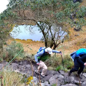 Explore 7 Day package 'Trek to Machu Picchu through the Inca Trail' for 7 days with Inkayni Peru Tours and discover unforgettable experiences - Photo 5