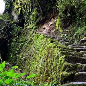 Explore 04 Day Classic Inca Trail to Machu Picchu - Small Group Service for 4 days with Inkayni Peru Tours and discover unforgettable experiences - Photo 7