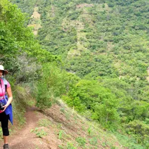 Explore 04 Day Inca Jungle Trail to Machu Picchu – Group Service for 4 days with Inkayni Peru Tours and discover unforgettable experiences - Photo 8