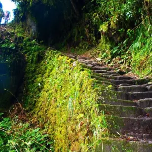 Explore Salkantay Trek & Inca Trail to Machu Picchu for 7 days with Inkayni Peru Tours and discover unforgettable experiences - Photo 5