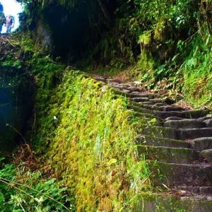 Explore 9 Day Cusco, Inca Trail to Machu Picchu & Titicaca lake for 9 days with Inkayni Peru Tours and discover unforgettable experiences - Photo 11