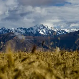 Explore 07 Day Sacred valley, short Inca trail & Rainbow Mountain for 7 days with Inkayni Peru Tours and discover unforgettable experiences - Photo 11