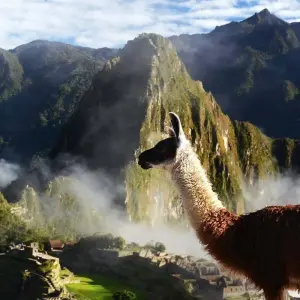 Explore Salkantay Trek & Inca Trail to Machu Picchu for 7 days with Inkayni Peru Tours and discover unforgettable experiences - Photo 11