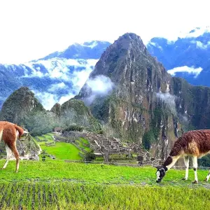 Explore Hiking The Classic Inca Trail to Machu Picchu & Sacred Valley for 8 days with Inkayni Peru Tours and discover unforgettable experiences - Photo 4