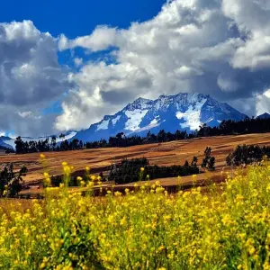 Explore 2 Day - "Exploring" the Sacred Valley & Machu Picchu for 2 days with Inkayni Peru Tours and discover unforgettable experiences - Photo 6