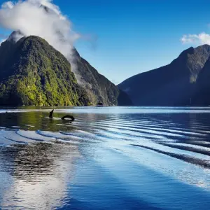 Explore Inspiring New Zealand (2025/2026) for 13 days with Inspiring Journeys and discover unforgettable experiences - Photo 3