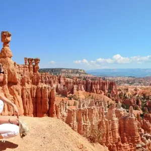 Explore America's Magnificent National Parks (Classic, End Denver) for 15 days with Insight Vacations and discover unforgettable experiences - Photo 7
