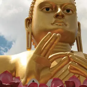 Explore Premium Sri Lanka in Depth for 14 days with Intrepid Premium and discover unforgettable experiences - Photo 4