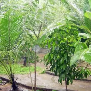 Explore Premium Sri Lanka in Depth for 14 days with Intrepid Premium and discover unforgettable experiences - Photo 5