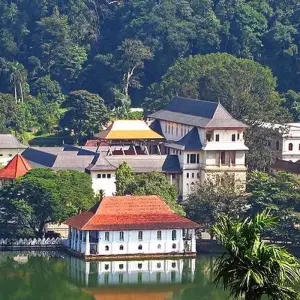 Explore Premium Sri Lanka in Depth for 14 days with Intrepid Premium and discover unforgettable experiences - Photo 7