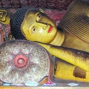 Explore Premium Sri Lanka in Depth for 14 days with Intrepid Premium and discover unforgettable experiences - Photo 10