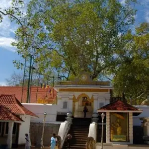 Explore Premium Sri Lanka in Depth for 14 days with Intrepid Premium and discover unforgettable experiences - Photo 11