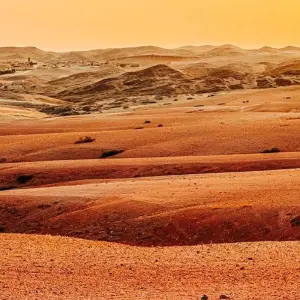 Explore Premium Morocco Highlights (8 destinations) for 9 days with Intrepid Premium and discover unforgettable experiences - Photo 2