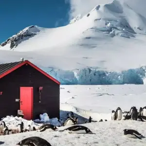 Explore Sporty Basecamp in the Antarctic for 13 days with Inventia and discover unforgettable experiences - Photo 5