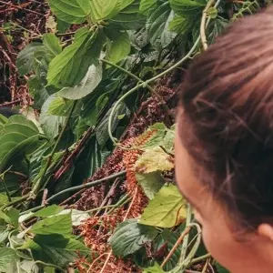 Explore Premium Uganda, Rwanda & Kenya for 13 days with Intrepid Premium and discover unforgettable experiences - Photo 10