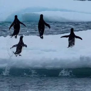 Explore Sporty Basecamp in the Antarctic for 13 days with Inventia and discover unforgettable experiences - Photo 7