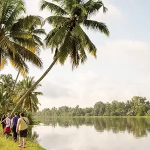 Explore Premium South India for 13 days with Intrepid Premium and discover unforgettable experiences - Photo 5