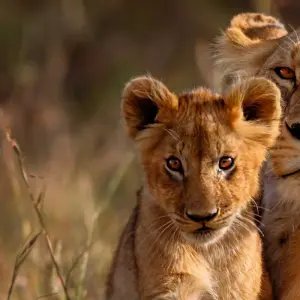 Explore East Africa Highlights for 10 days with Intrepid Travel and discover unforgettable experiences - Photo 3