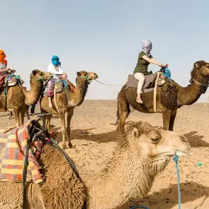 Explore Morocco Uncovered (39 destinations) for 13 days with Intrepid Travel and discover unforgettable experiences - Photo 4
