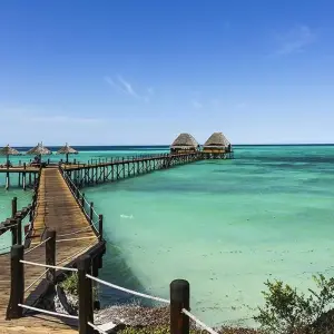 Explore Zanzibar to Vic Falls for 19 days with Intrepid Travel and discover unforgettable experiences - Photo 9