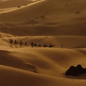 Explore Morocco Uncovered (39 destinations) for 13 days with Intrepid Travel and discover unforgettable experiences - Photo 11