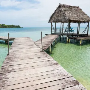 Explore Costa Rica & Panama Discovery (including Sarapiquí) for 12 days with Intrepid Travel and discover unforgettable experiences - Photo 4