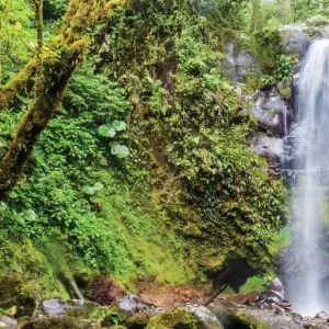 Explore Costa Rica & Panama Discovery (including Sarapiquí) for 12 days with Intrepid Travel and discover unforgettable experiences - Photo 5