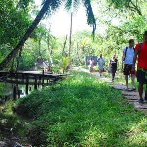 Explore Costa Rica & Panama Discovery (including Sarapiquí) for 12 days with Intrepid Travel and discover unforgettable experiences - Photo 7