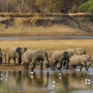 Explore Stone Town to Vic Falls for 16 days with Intrepid Travel and discover unforgettable experiences - Photo 10