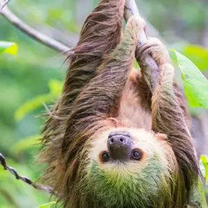 Explore Costa Rica & Panama Discovery (including Sarapiquí) for 12 days with Intrepid Travel and discover unforgettable experiences - Photo 9